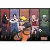 Poster Naruto Shippuden Naruto & Allies -Pokemon Shop ABYDCO759.1