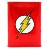 SUPERHELDEN CS The Flash Spardose Justice League -Pokemon Shop DSC00222